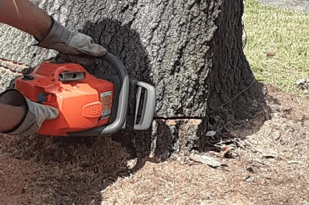 Avon Tree Removal