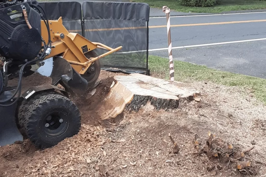 Southington Stump Grinding